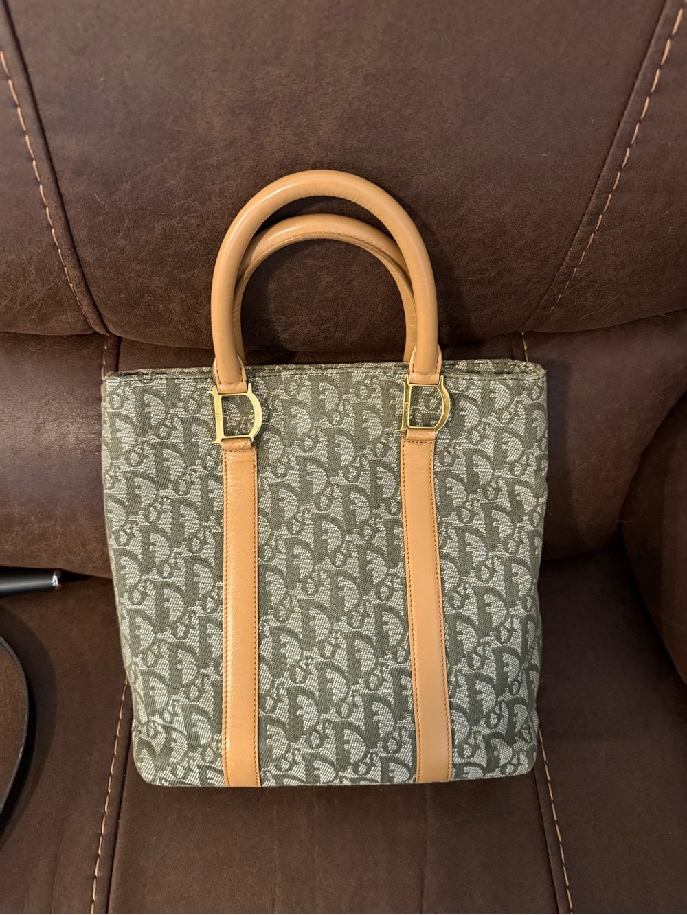 Christian Dior Vertical Trotter Tote Bag in Khaki